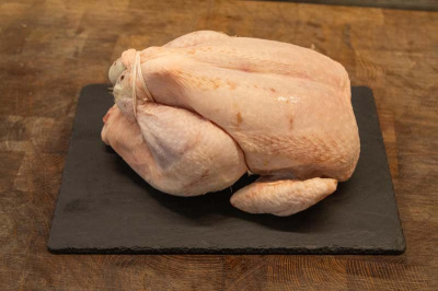 chicken